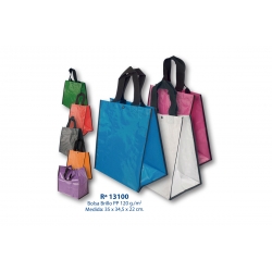 Bolsa: 13100